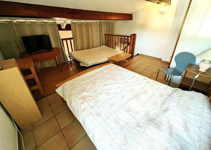 Mitoyenne Climatisee, Piscine, Parking, 450m De La - Fr-1-607-17