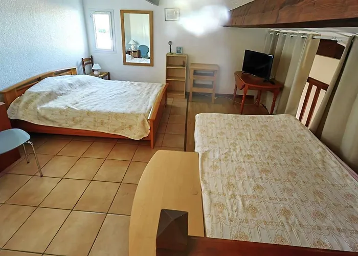 Mitoyenne Climatisee, Piscine, Parking, 450m De La - Fr-1-607-17 *