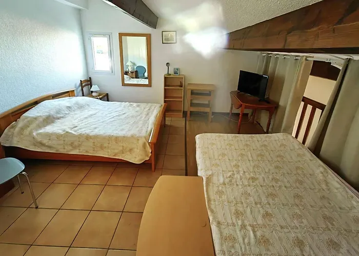 Mitoyenne Climatisee, Piscine, Parking, 450m De La - Fr-1-607-17